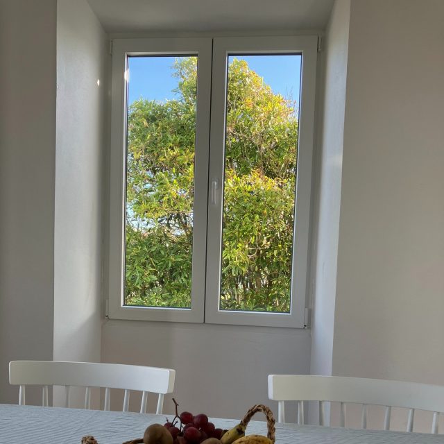 #jardimdascamelias #madalenadopico #picoisland #azoresislands #azores