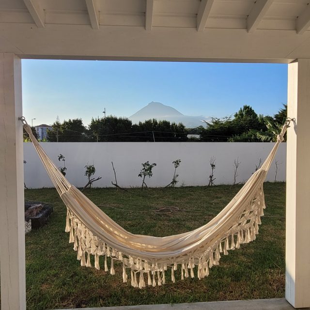 #jardimdascamelias #picomountain #madalenadopico #picoisland #azoresislands #azores