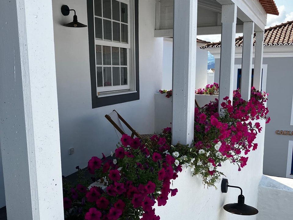 #jardimdascamelias #madalenadopico #picoisland #azoresislands #azores