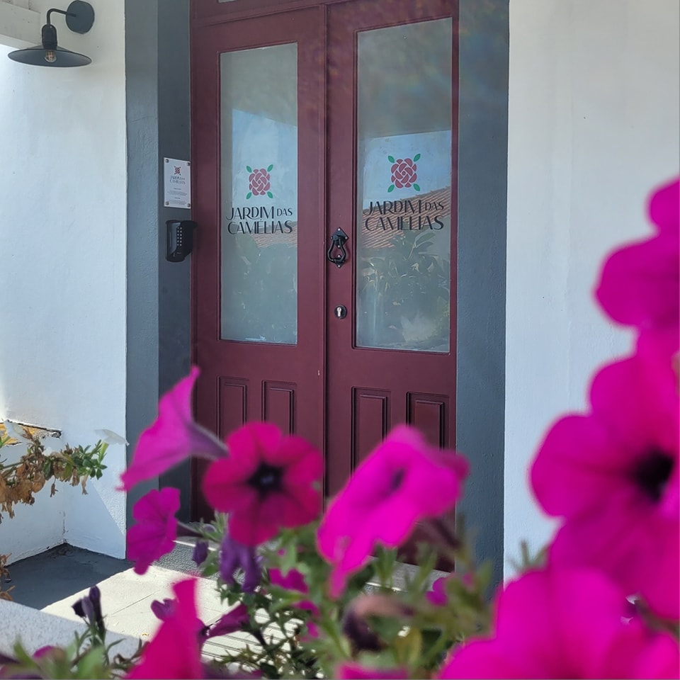 #jardimdascamelias #picomountain #madalenadopico #picoisland #azoresislands #azores