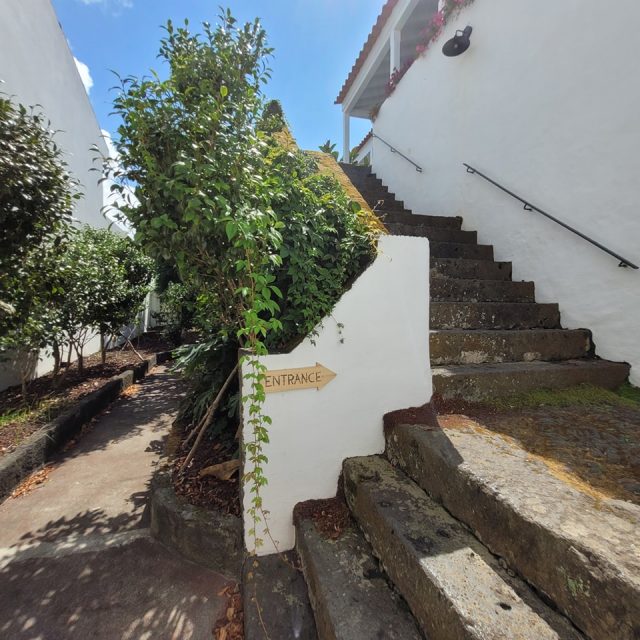 #jardimdascamelias #picomountain #madalenadopico #picoisland #azoresislands #azores