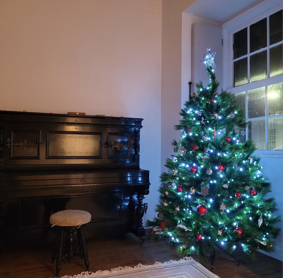 #christmas #jardimdascamelias #picomountain #madalenadopico #picoisland #azoresislands #azores