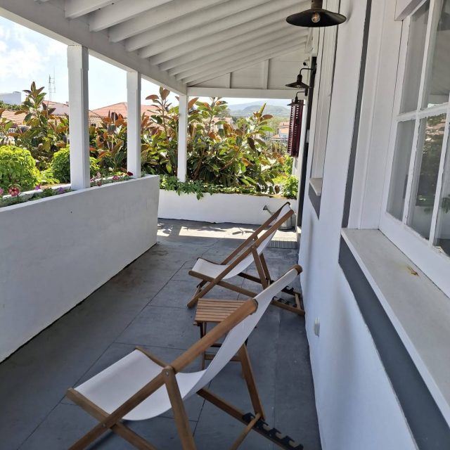 #jardimdascamelias #picomountain #madalenadopico #picoisland #azoresislands #azores