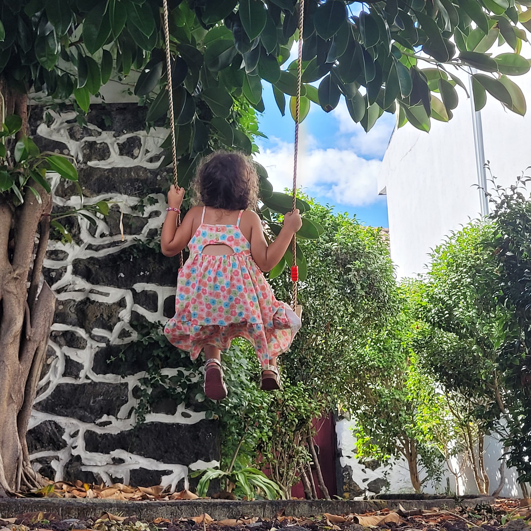 #jardimdascamelias #picomountain #madalenadopico #picoisland #azoresislands #azores