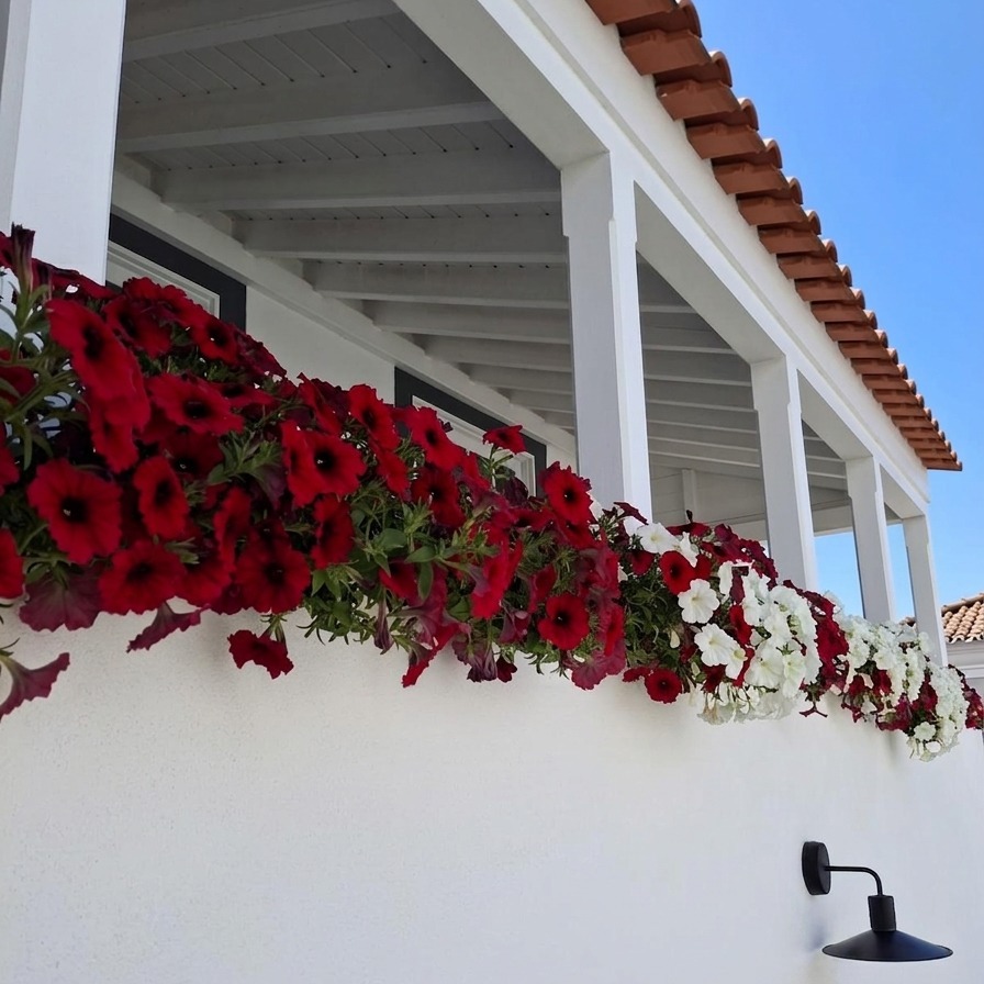 #jardimdascamelias #picomountain #madalenadopico #picoisland #azoresislands #azores